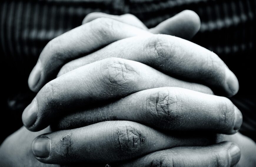 Amics del País convoca el premi Llegat Valldejuli, dotat de 20.000 euros, en distinció a l’organització no lucrativa que més destaqui en l’atenció a les persones més vulnerables