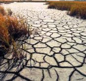 Problema número 1: El agua