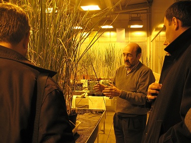 Visita al Centre de Recerca en Agrigenòmica (CRAG)