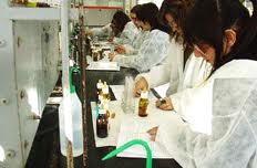 Los graduados bien formados, la Universidad y la innovación