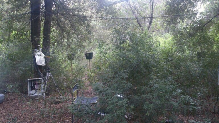 Visita al Centro de Investigación Ecológica y Aplicaciones Forestales (CREAF)