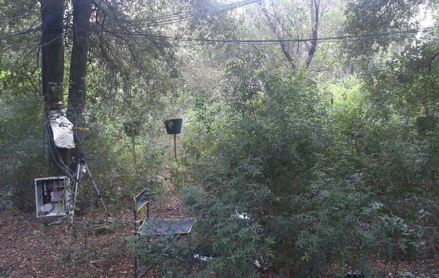 Visita al Centre de Recerca Ecològica i Aplicacions Forestals (CREAF)