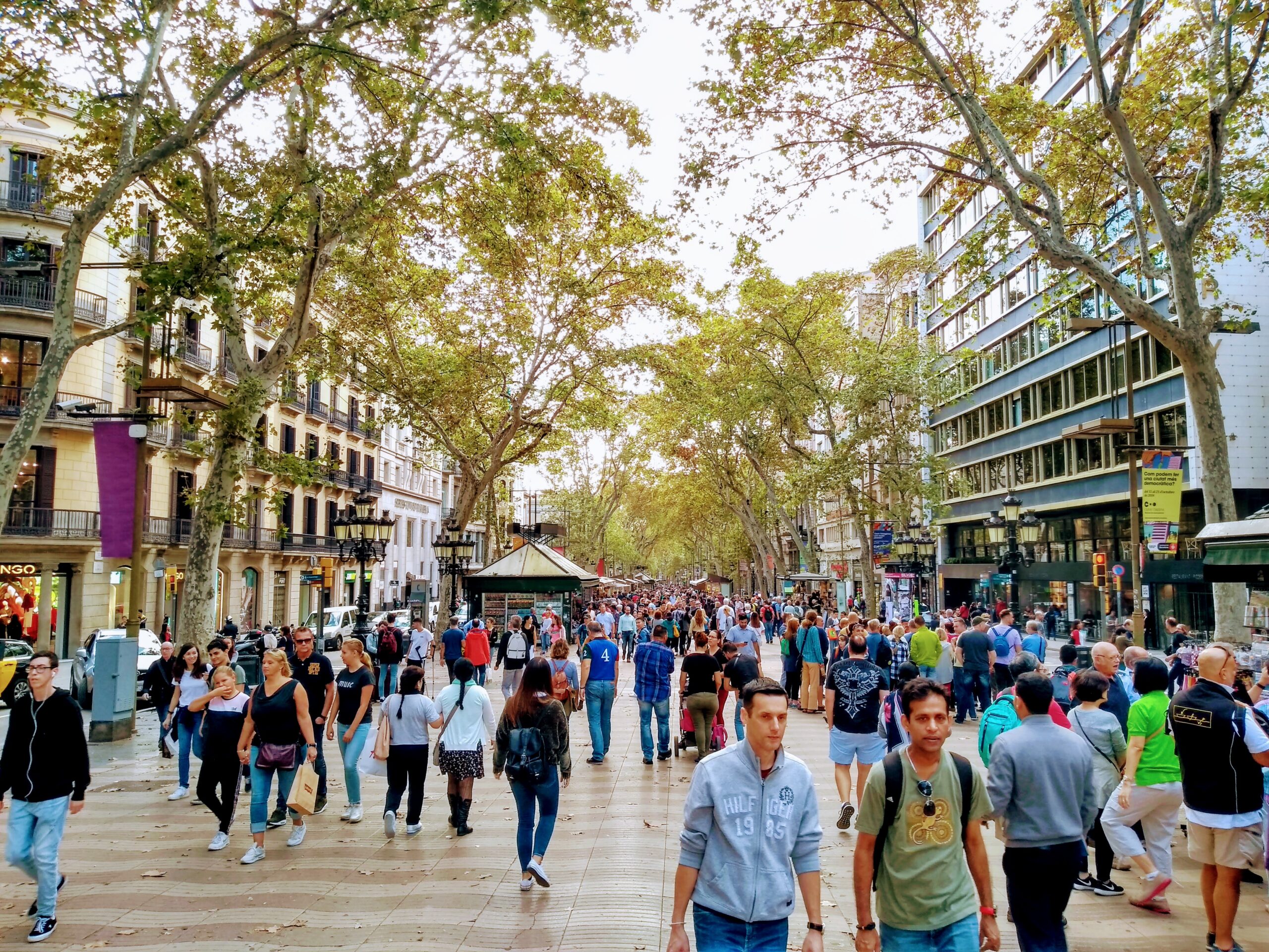 Cal renovar el pacte social per garantir l’Estat del Benestar?